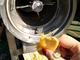 Controle eletrônico de máquina de processamento 5T/H do abacaxi e da manga Schneider