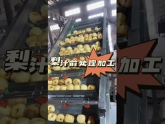 Como realizar o pré-processamento do suco de pêra