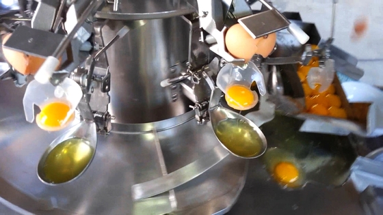 Máquina de lavagem automática de ovos de fábrica, quebra de ovos, pasteurização líquida