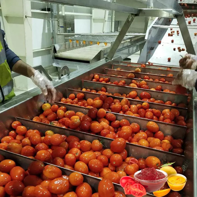 Máquina de processamento de omelete/suco de tomate/salsa/pulpa com SUS304/316