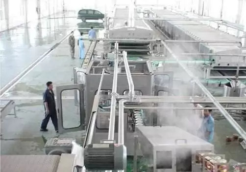 Linha de processamento de gengibre personalizada de alto desempenho Máquina de planta de produção de cenoura / gengibre / beterraba para a indústria de vegetais com PLC