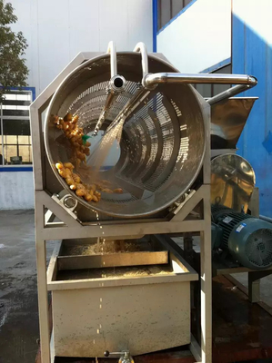 Linha completa de processamento de couve Planta de produção de aipo / couve / pepino Equipamento personalizado para a indústria de vegetais