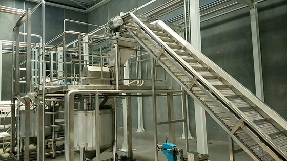 Linha completa de processamento de couve Planta de produção de aipo / couve / pepino Equipamento personalizado para a indústria de vegetais