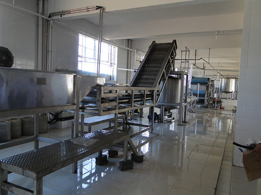 Linha completa de processamento de couve Planta de produção de aipo / couve / pepino Equipamento personalizado para a indústria de vegetais