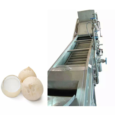 Máquina de processamento de leite de coco/água personalizada Máquina de extração de suco de frutas Máquina de extração de pressão