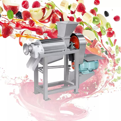 Linha de processamento de mirtilo personalizada de alto desempenho Planta de produção de mirtilo/morango/fresbeto