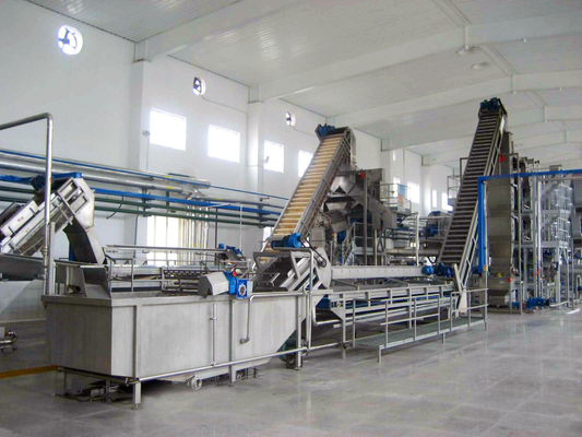 Linha de processamento de mirtilo personalizada de alto desempenho Planta de produção de mirtilo/morango/fresbeto