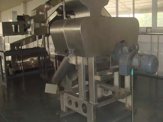 SUS304/316 Linha completa de processamento de Pitaya Fabrica de equipamentos de planta de produção de frutas da paixão / Pitaya / Guava personalizada com PLC para fábrica de frutas