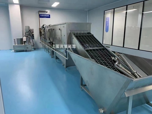 Instalação de processamento de ovos líquidos com máquinas de preenchimento de pasteurizantes de quebra e separação