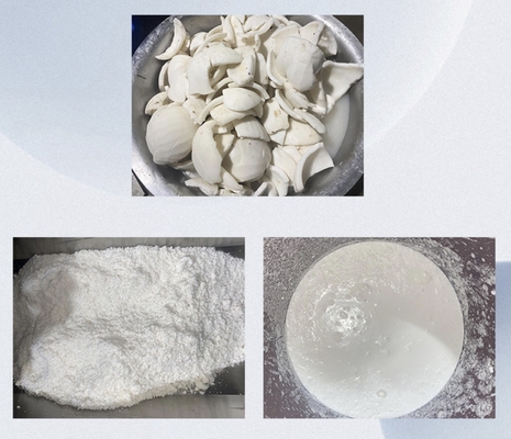 Novo extractor de parafuso grande para leite de coco com pressão ajustável de alta taxa de saída