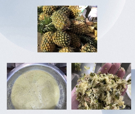Máquina de extração de sumo de abacaxi por pressão de parafuso