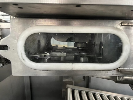 Venda Quente Máquina de Enchimento BIB Asséptica totalmente automática para 1-25L Saco Contínuo em Caixa SUS304/316