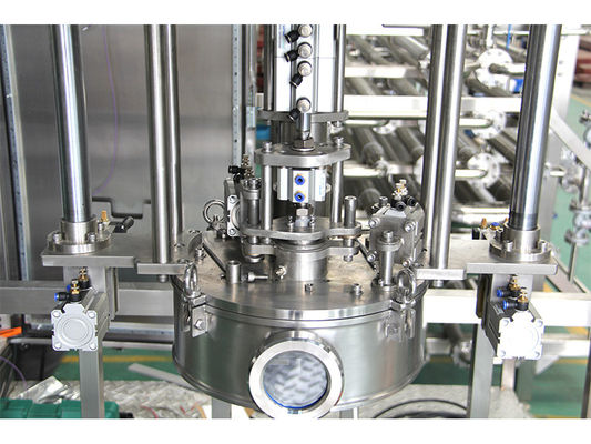 Eficiência/Custo Preenchimento asséptico de cabeça única ou dupla 1-220L BID para ketchup/suco de frutas/lojas de produção de leite Sus304